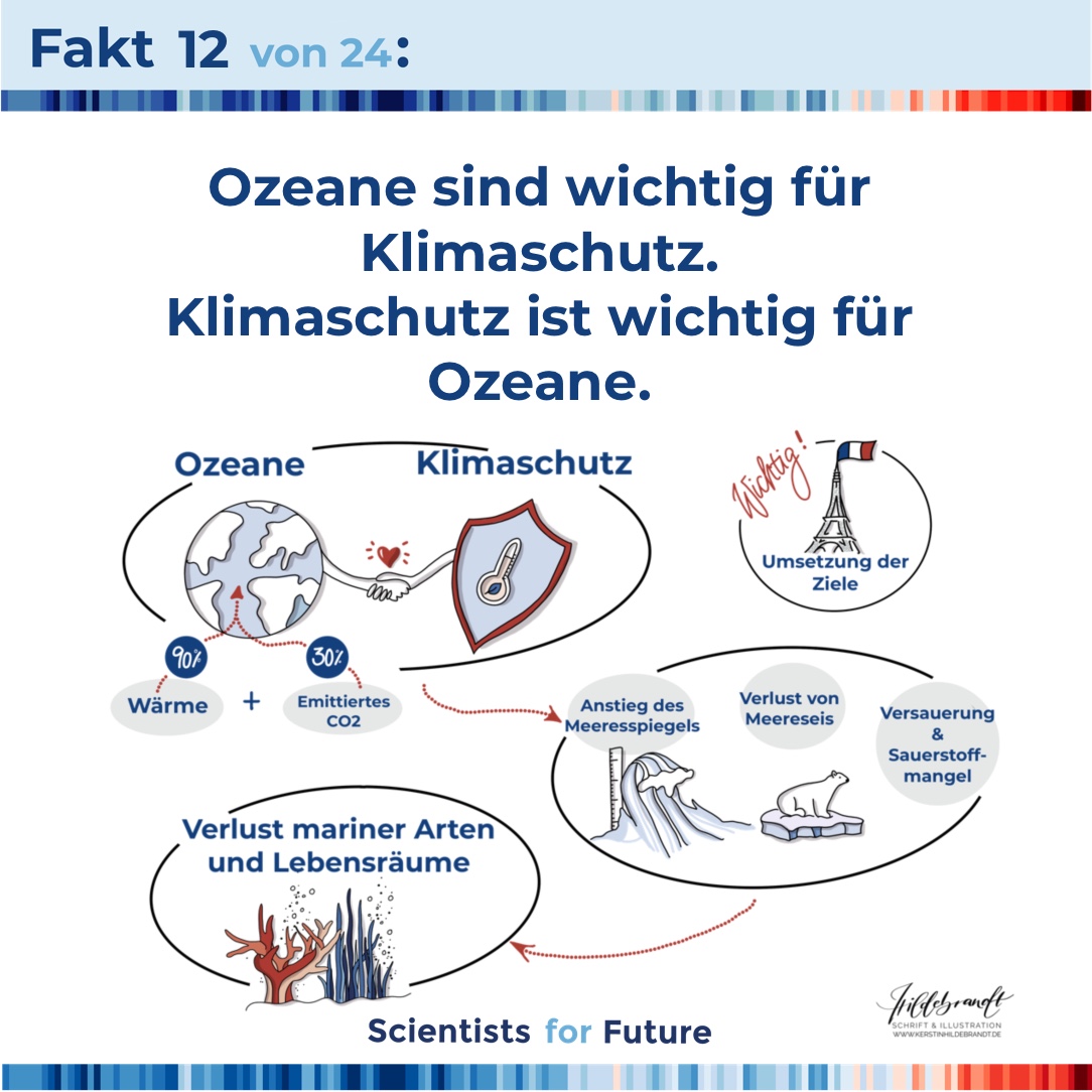 hildebrandt-illustration_scientists_for_future_fakten